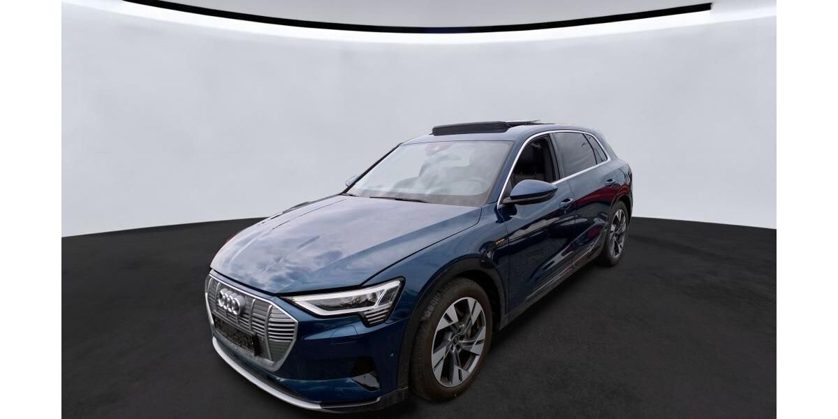 Audi e-tron 31.429 km 33.360 &euro; Hagen 58091
