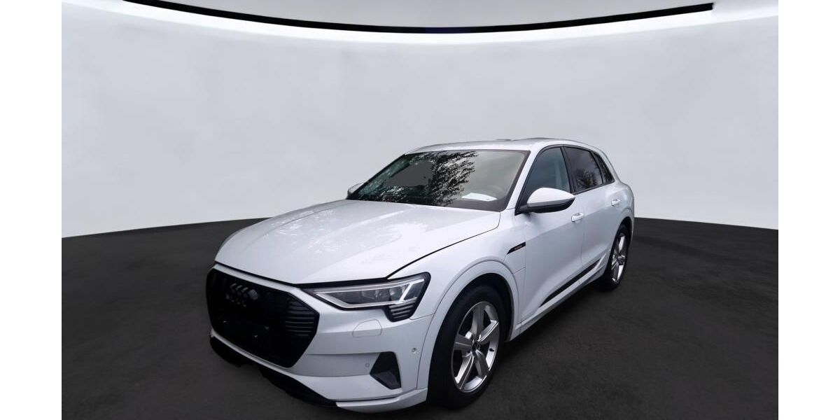 Audi e-tron 26.191 km 30.805 &euro; Hagen 58091