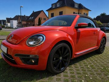 Gebrauchte VW Beetle