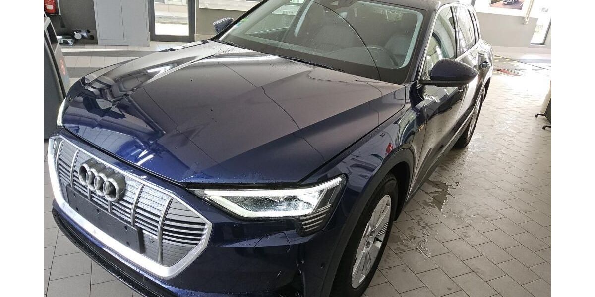 Audi e-tron 39.998 km 28.640 &euro; Hagen 58091