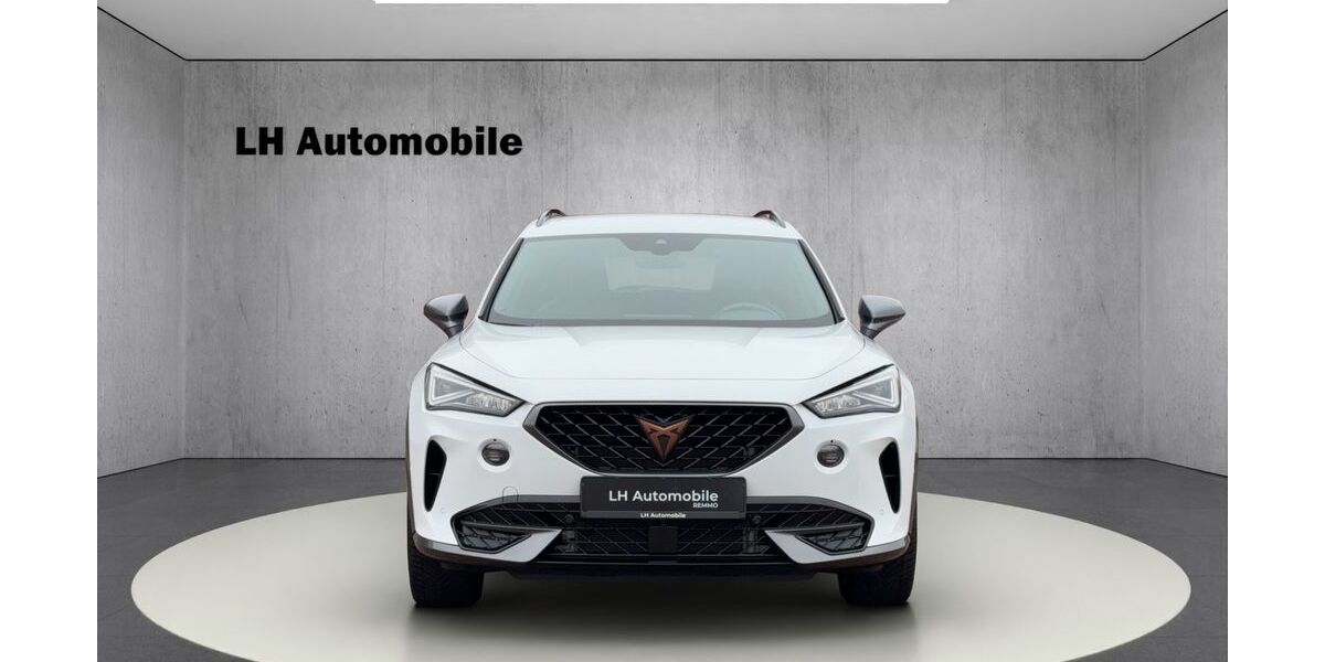 Cupra Formentor 30.873 km 29.990 &euro; Lüdinghausen 59348