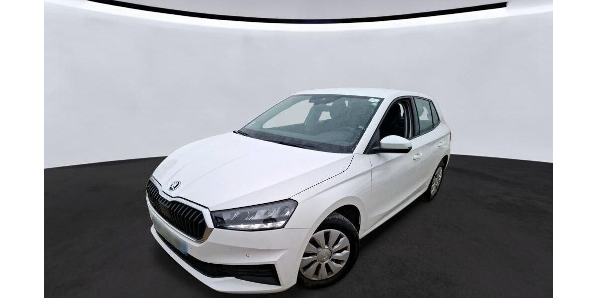 Skoda Fabia 49.056 km 11.465 &euro; Hagen 58091