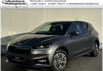 Skoda Fabia 3.000 km 25.390 &euro; Castrop-Rauxel 44579