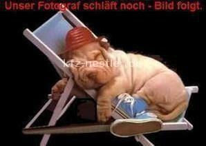 VW Tiguan 15.200 km 47.500 &euro; Essen 45134