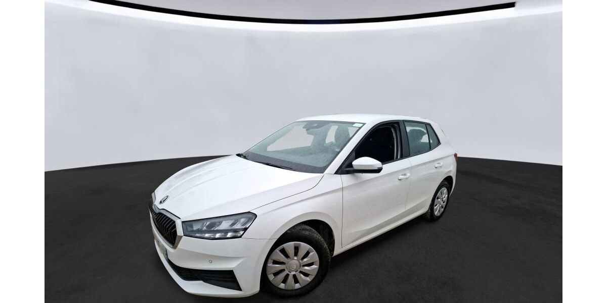 Skoda Fabia 51.329 km 11.465 &euro; Hagen 58091
