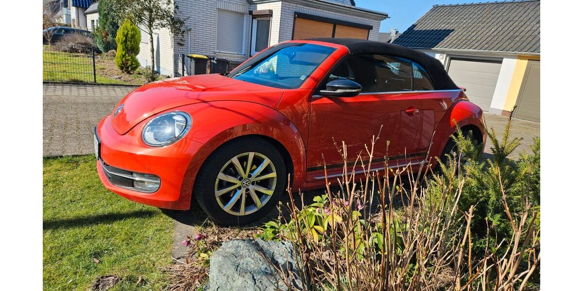 VW Beetle 53.260 km 16.600 &euro; Dortmund 44319