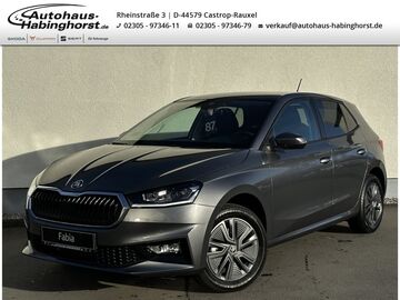 Gebrauchte Skoda Fabia