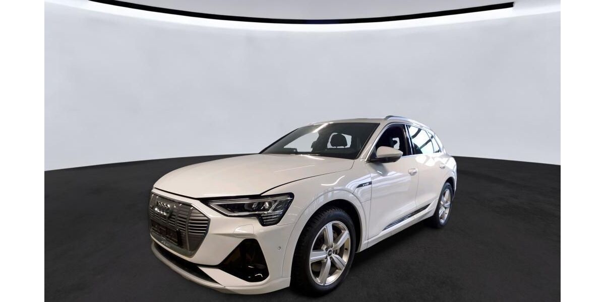 Audi e-tron 18.921 km 42.935 &euro; Hagen 58091